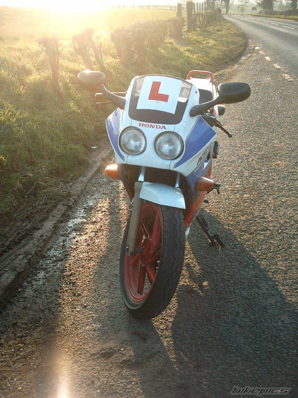 Photo 337972