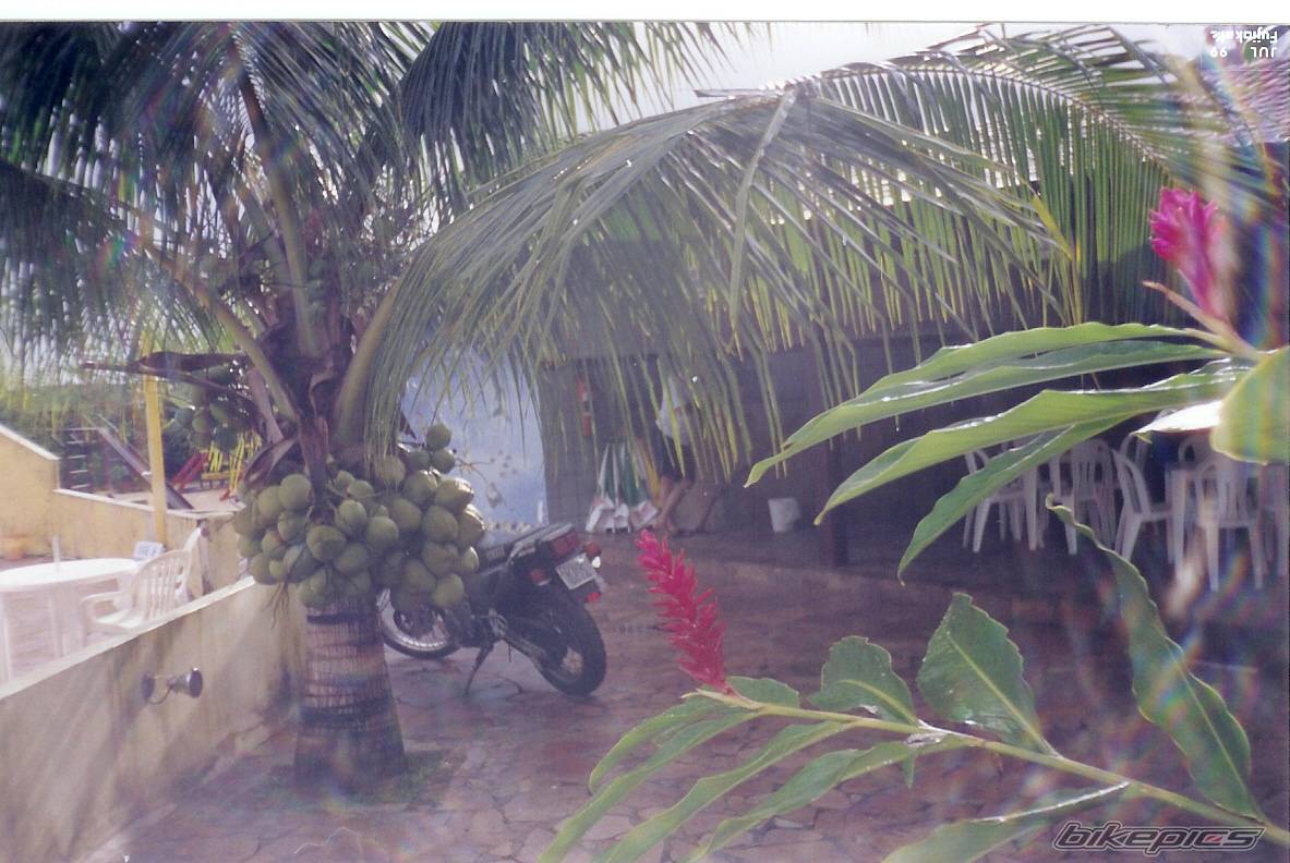 Bike Photo 337998
