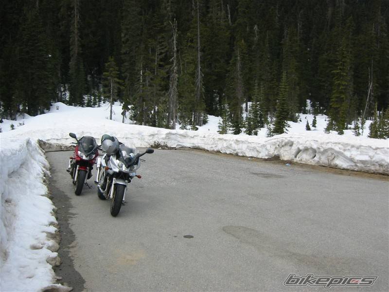 Bike Photo 338028
