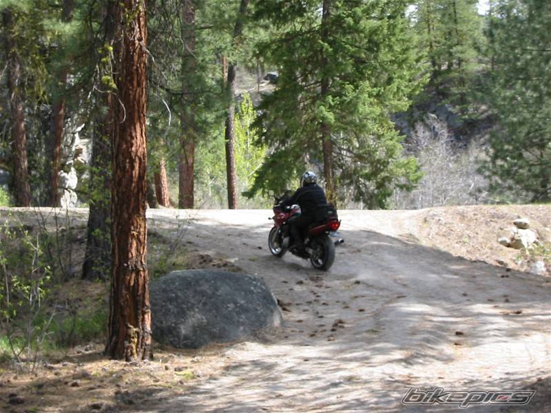 Bike Photo 338032