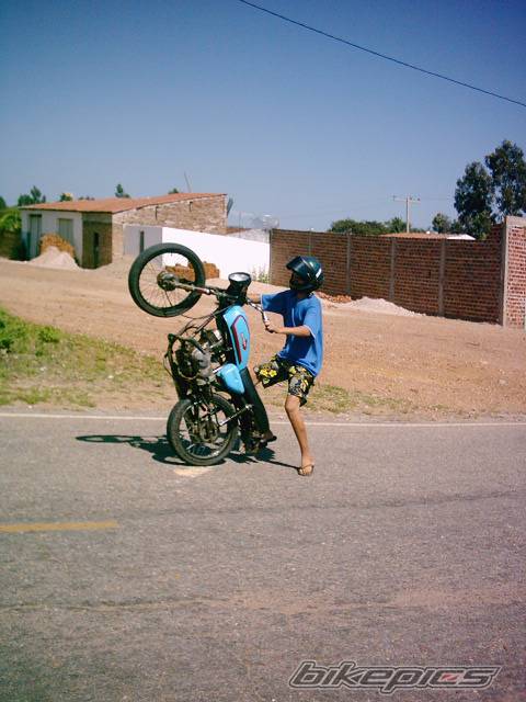 Bike Photo 338044