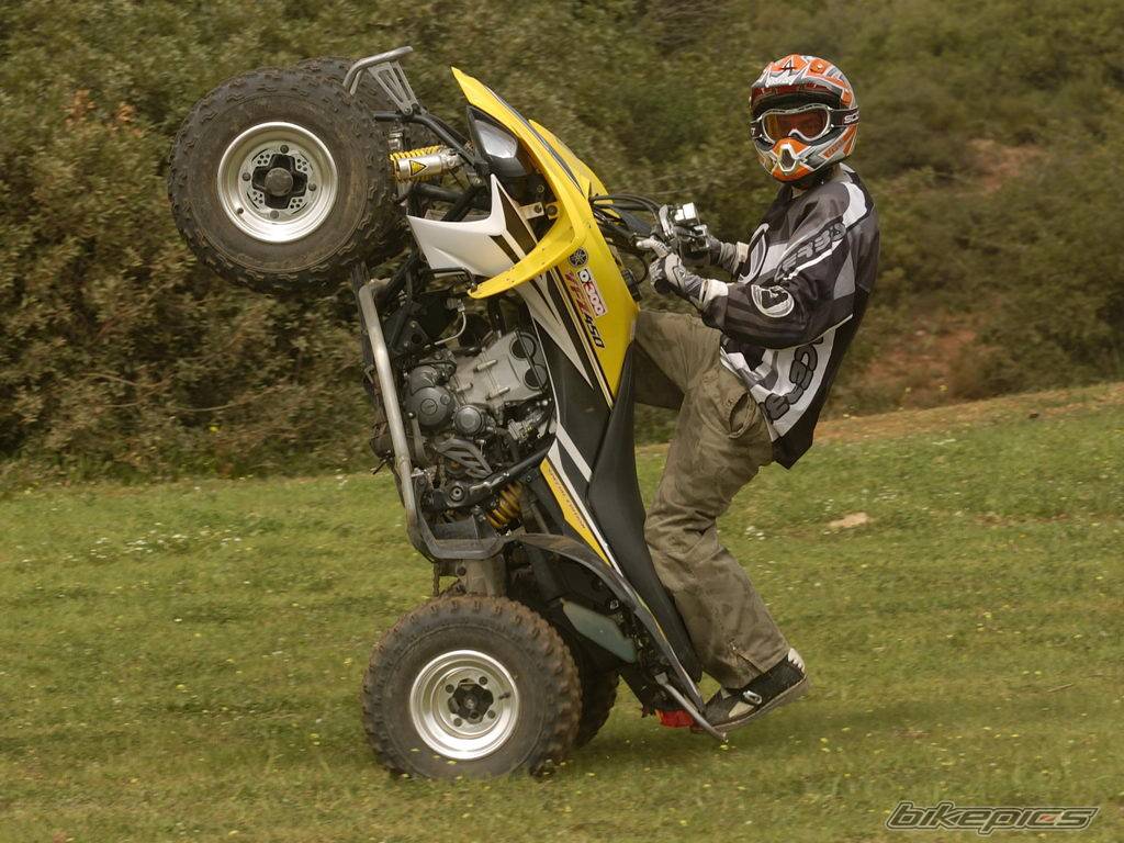 Bike Photo 338094