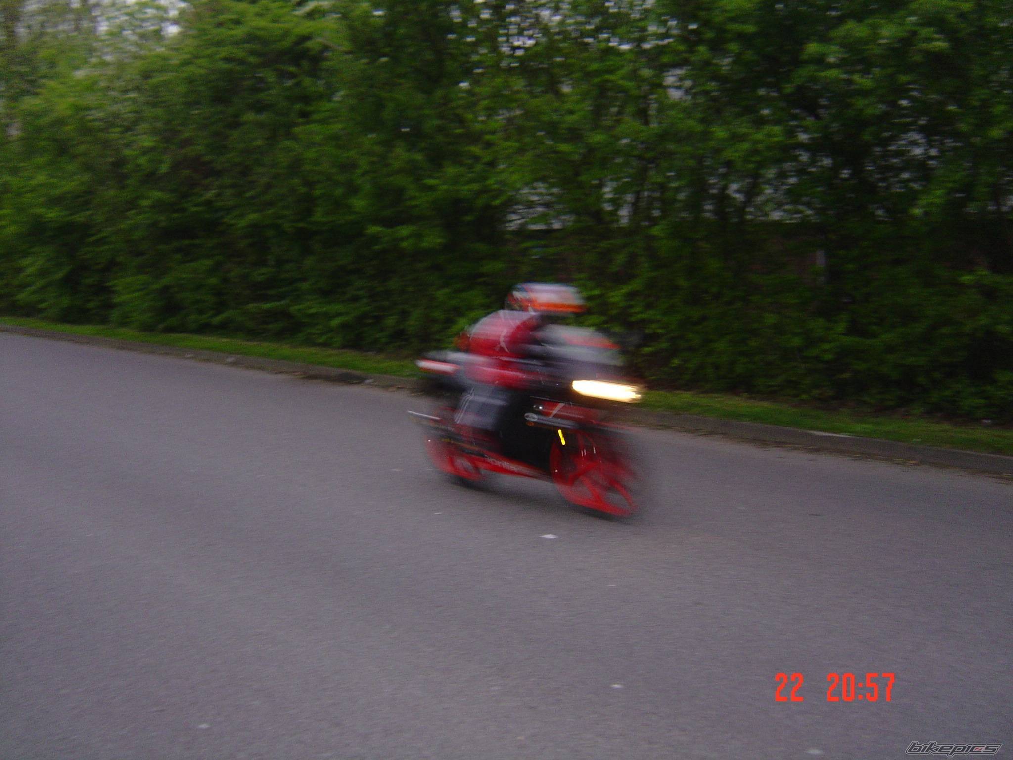 Photo 338119