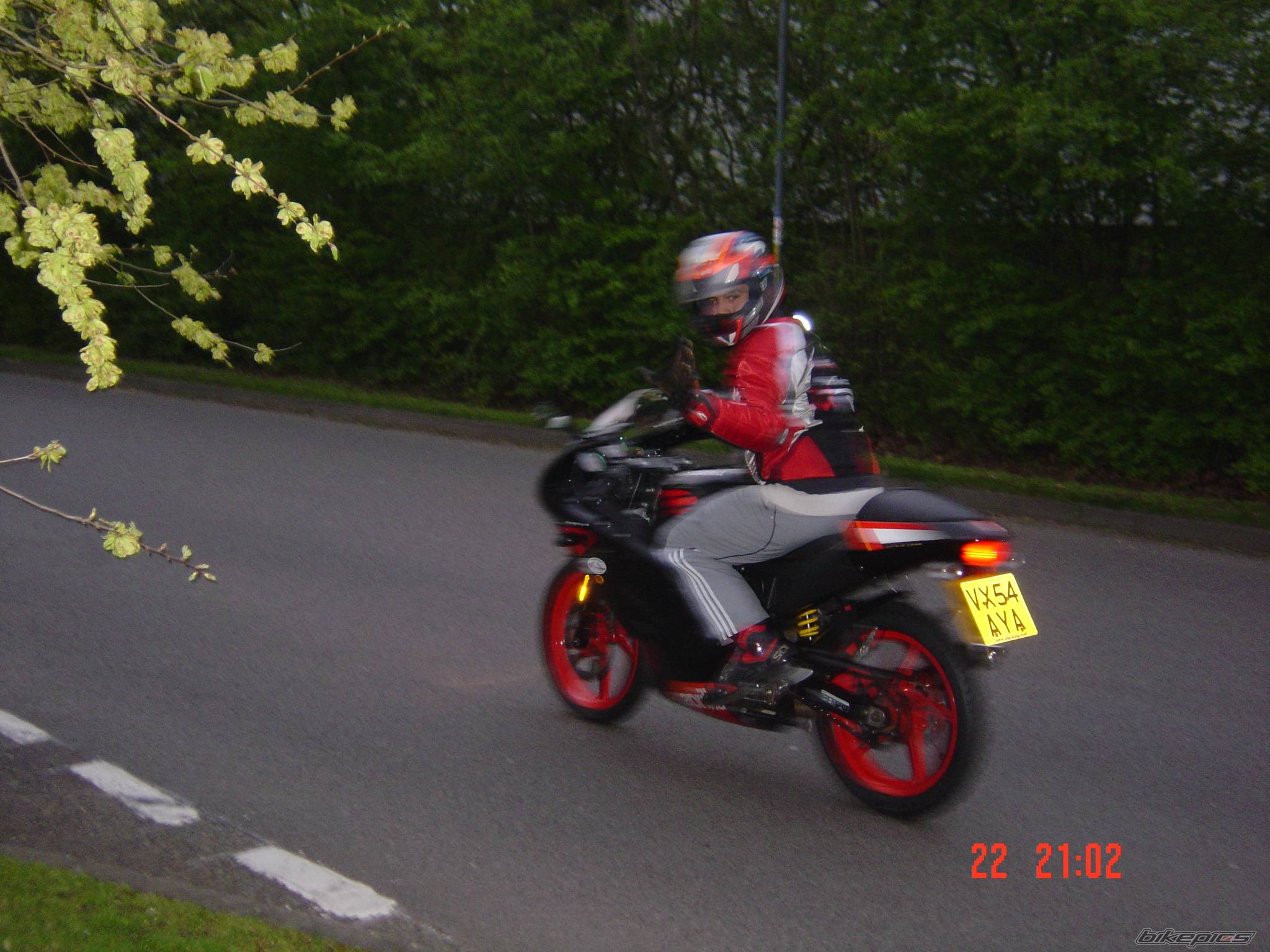Photo 338123