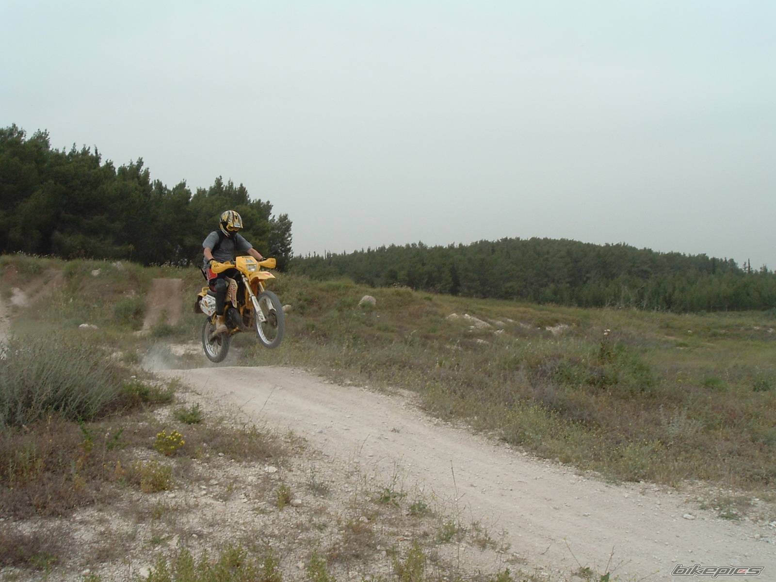 Bike Photo 338137