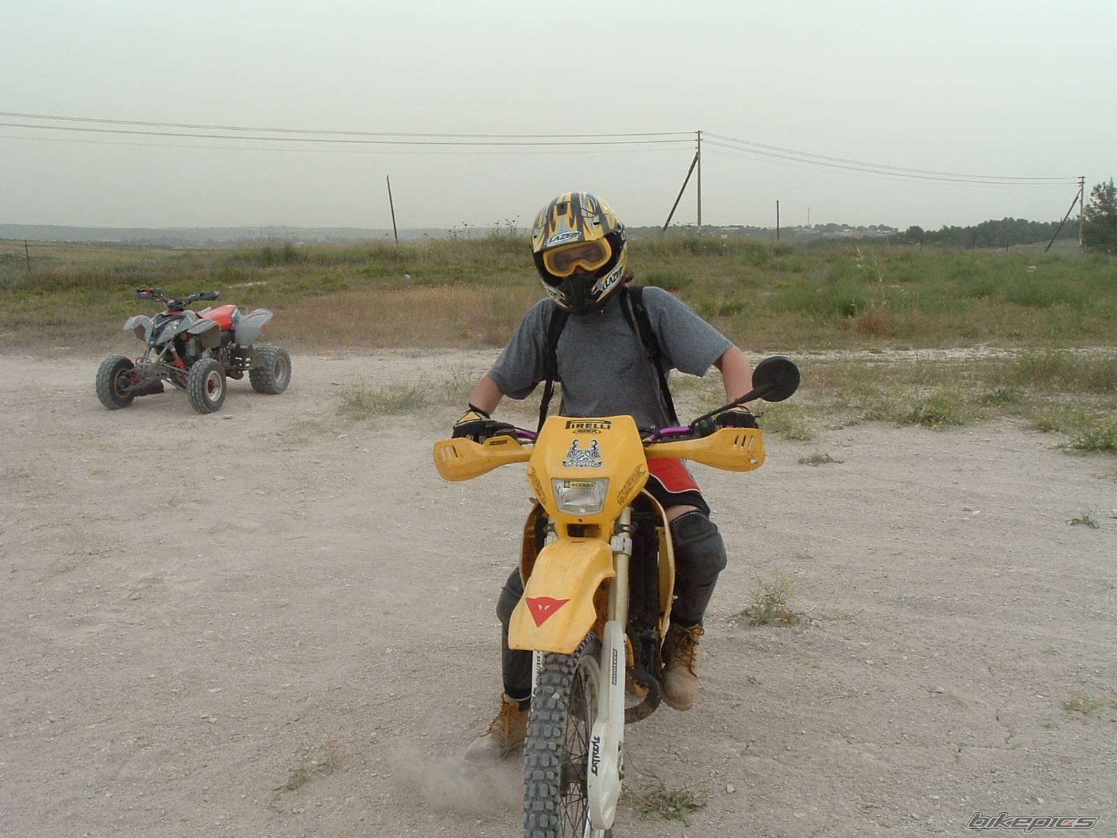 Photo 338139
