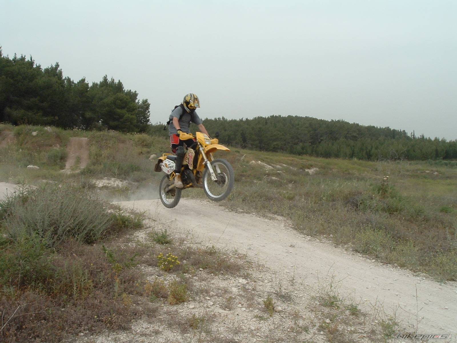 Bike Photo 338143