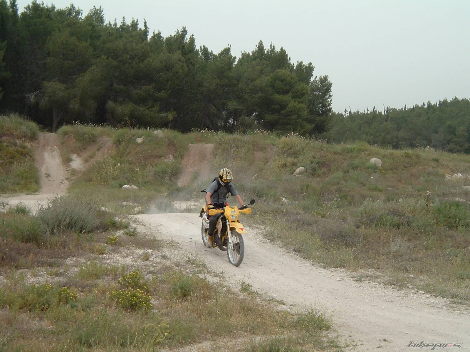 Bike Photo 338148