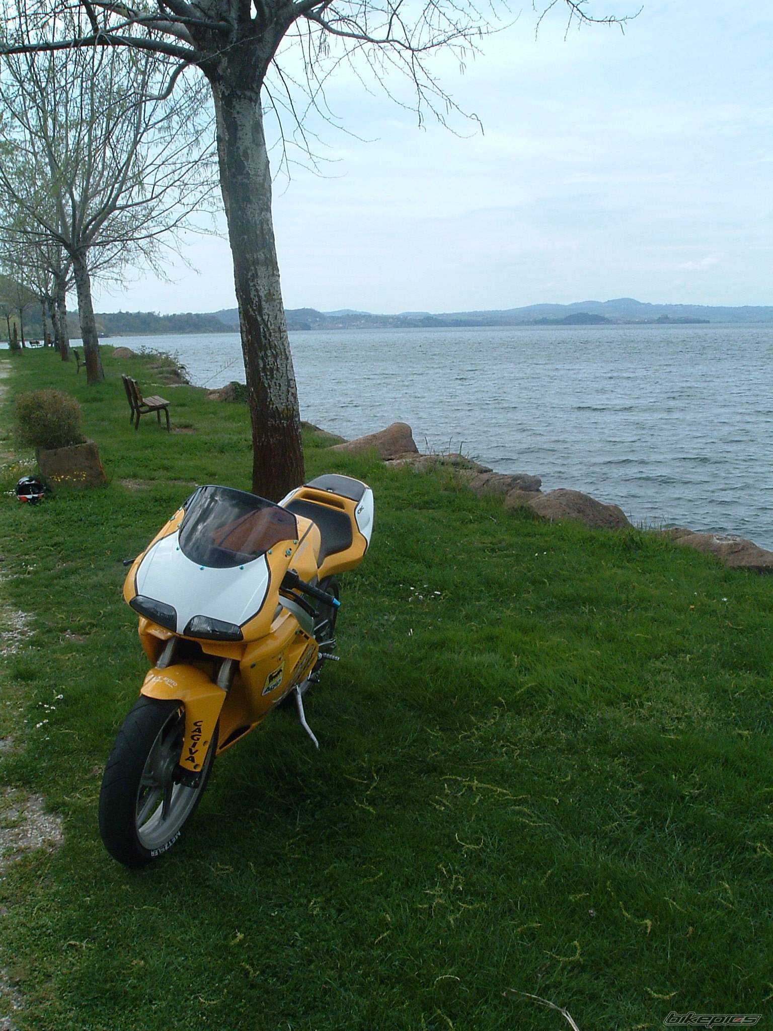 Photo 338217