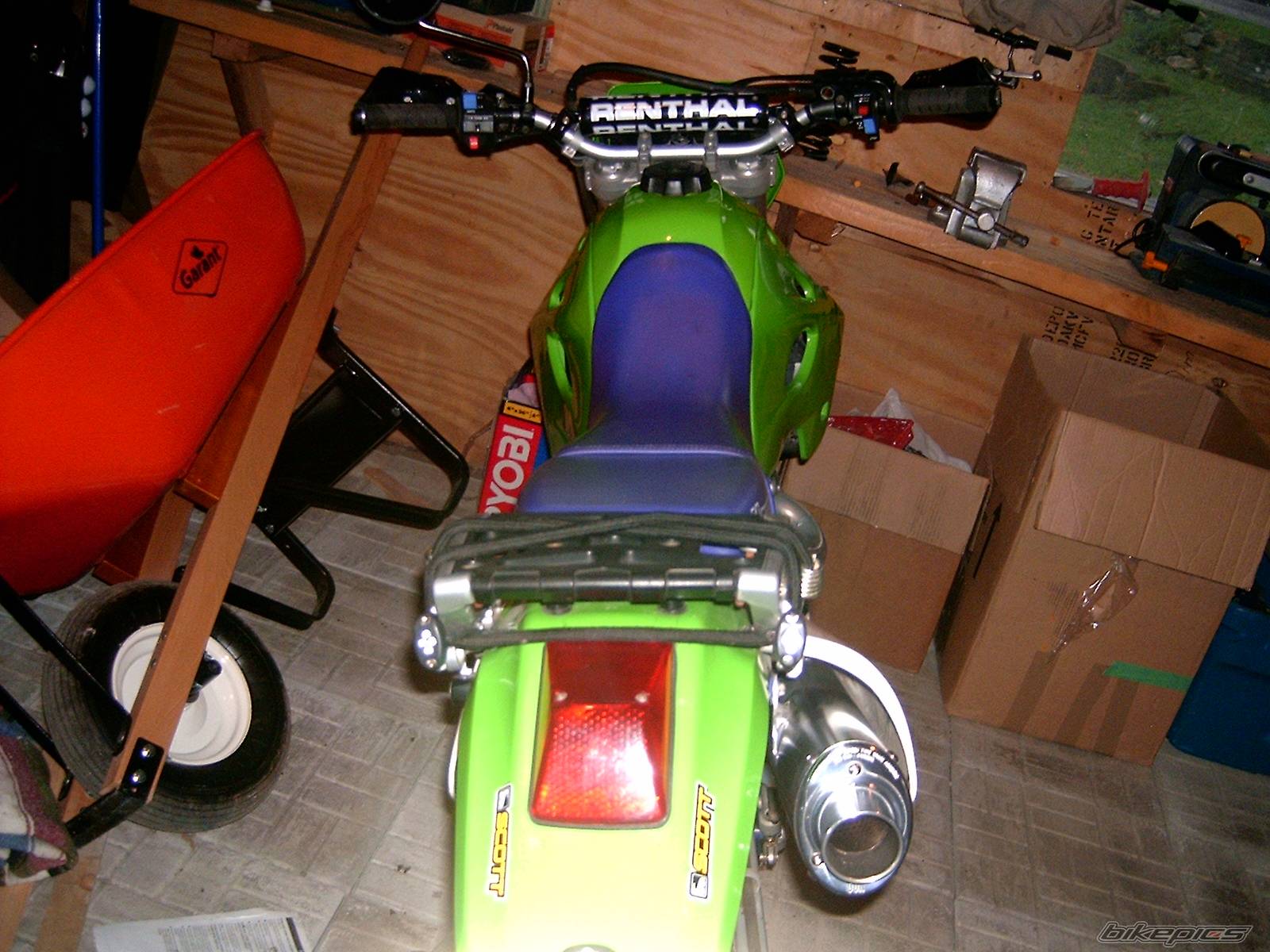 Photo 338257