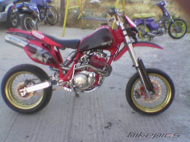 Photo 338272