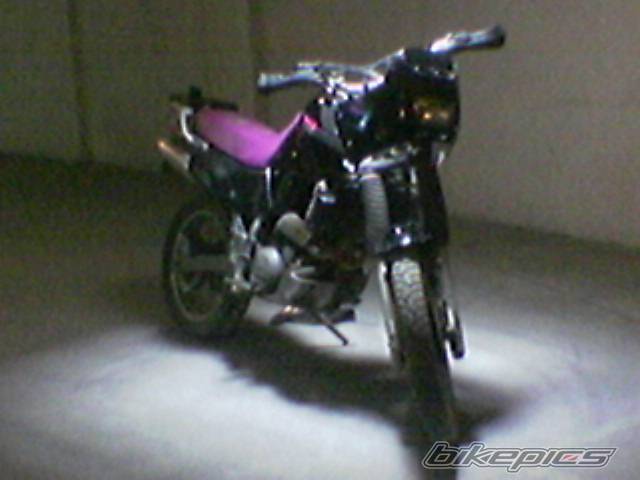 Bike Photo 338280