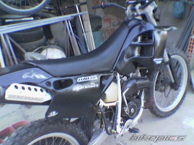 Photo 338312