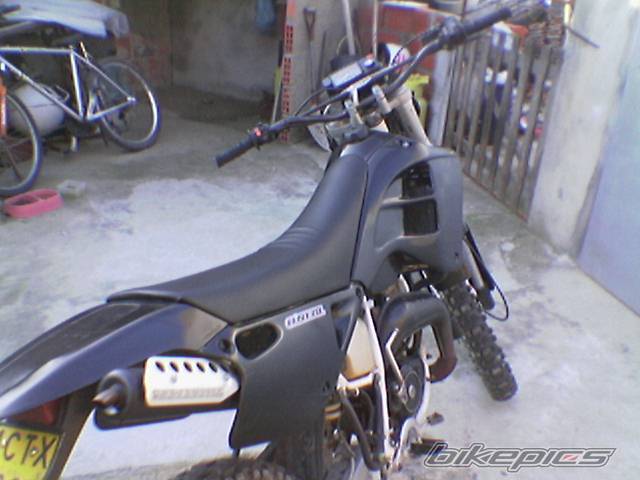 Photo 338314