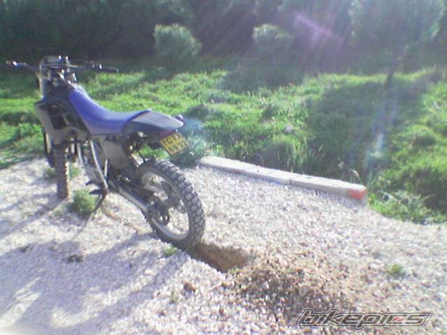 Photo 338316