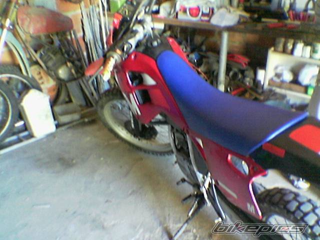 Photo 338323