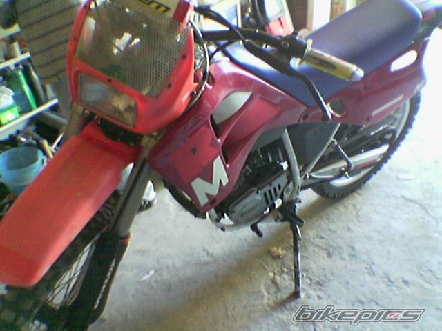 Photo 338324