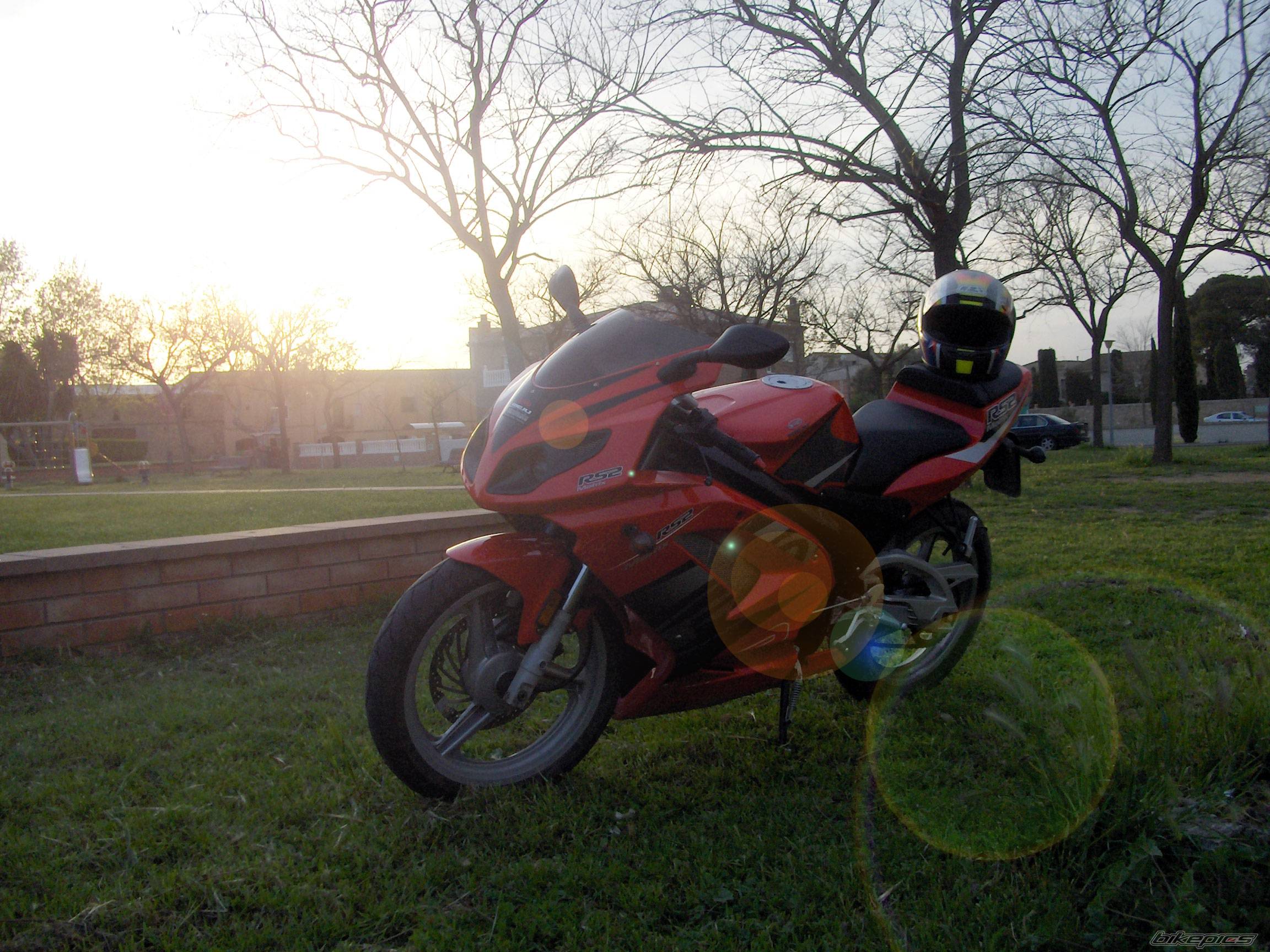 Photo 338505