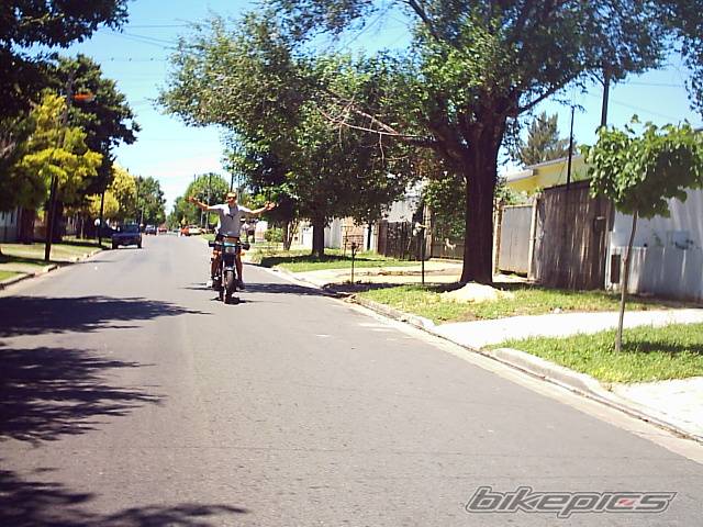 Photo 338554