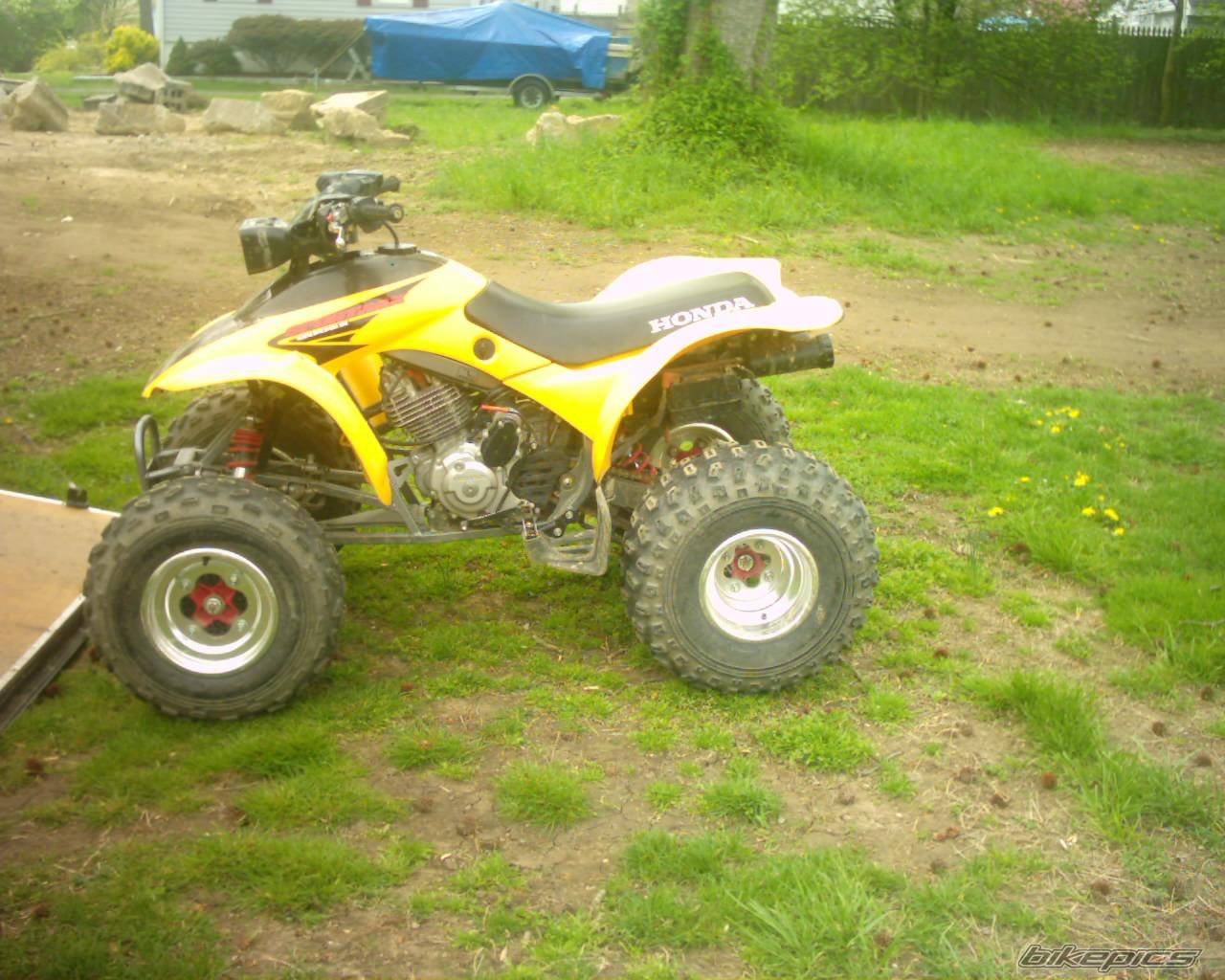 Photo 338593