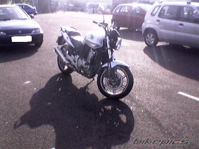 Photo 338627