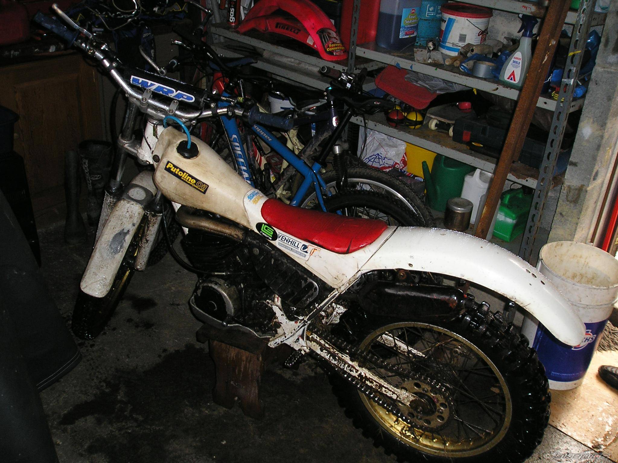 Photo 338662