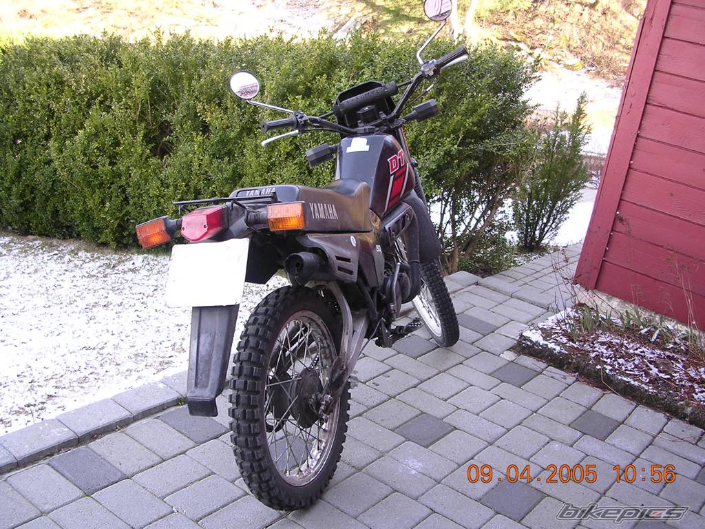 Photo 338682