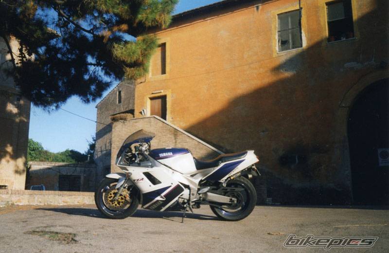 Photo 338699