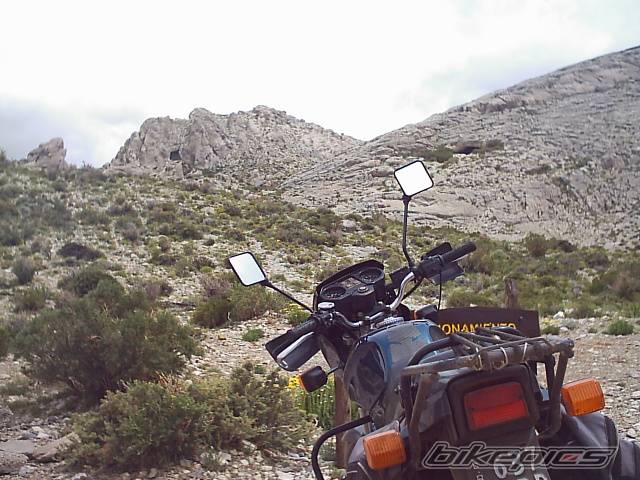 Bike Photo 338712