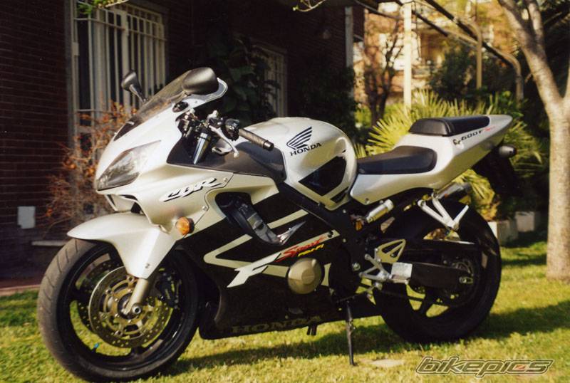 Photo 338721