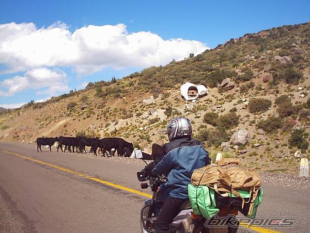 Bike Photo 338729