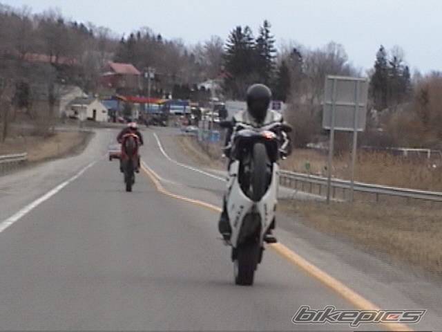 Photo 338766