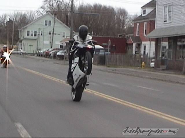 Photo 338769