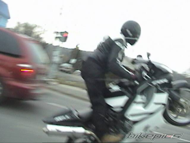 Photo 338771