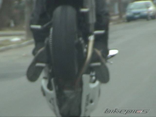 Photo 338777