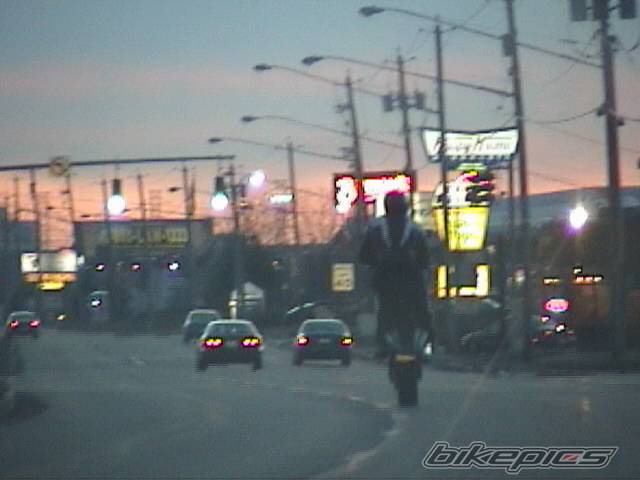 Photo 338788