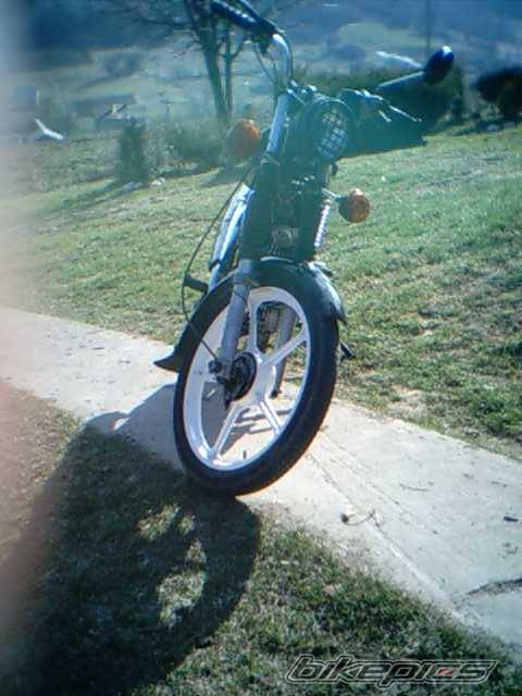 Photo 338869