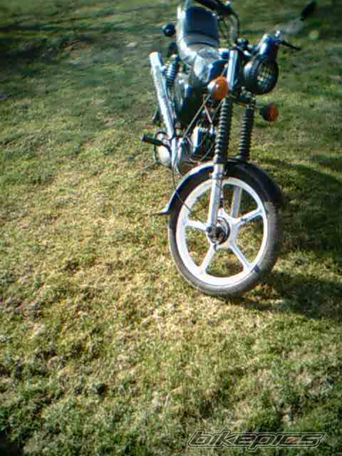Photo 338871