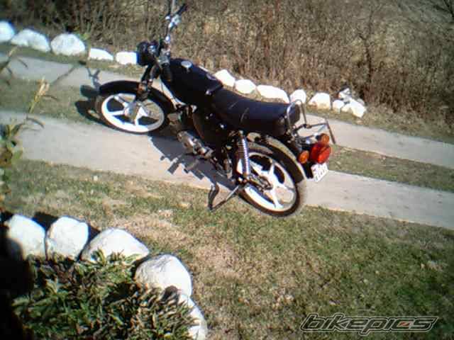 Photo 338872