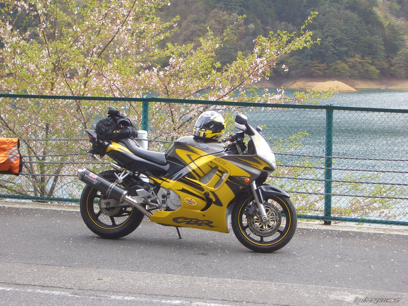 Bike Photo 338886
