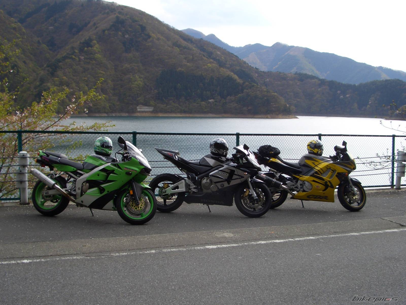 Bike Photo 338888