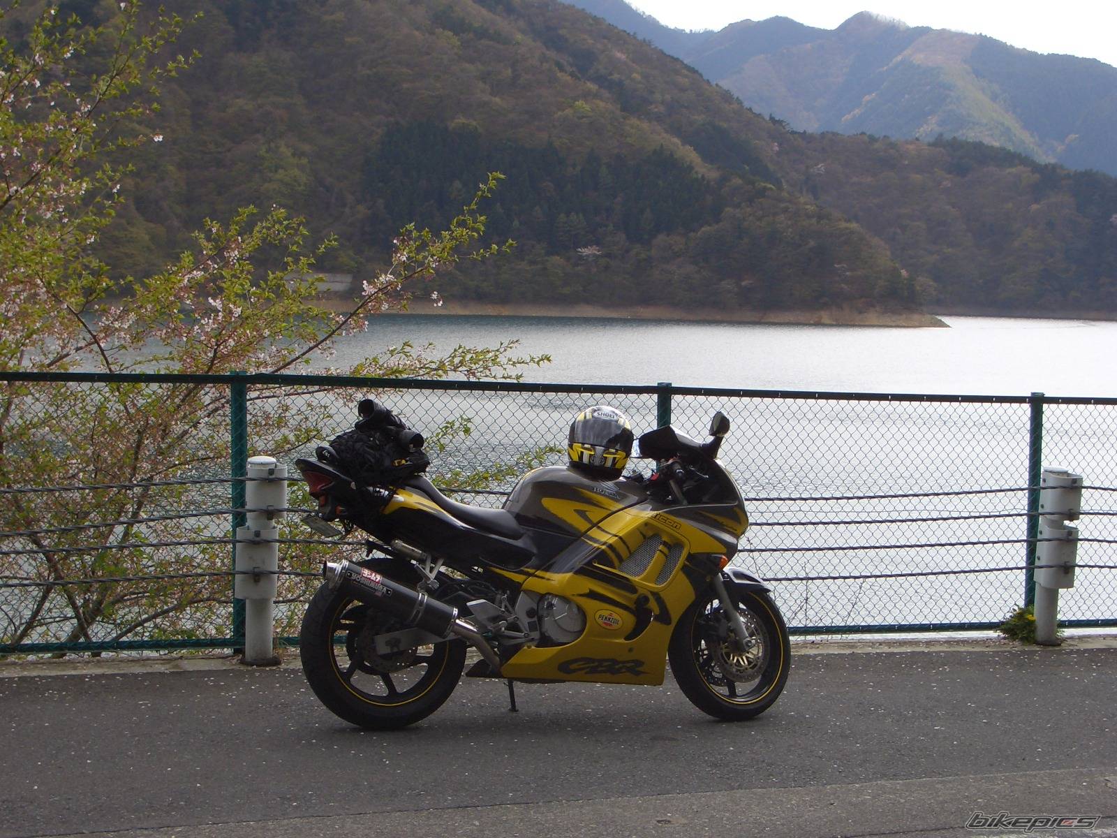 Bike Photo 338889