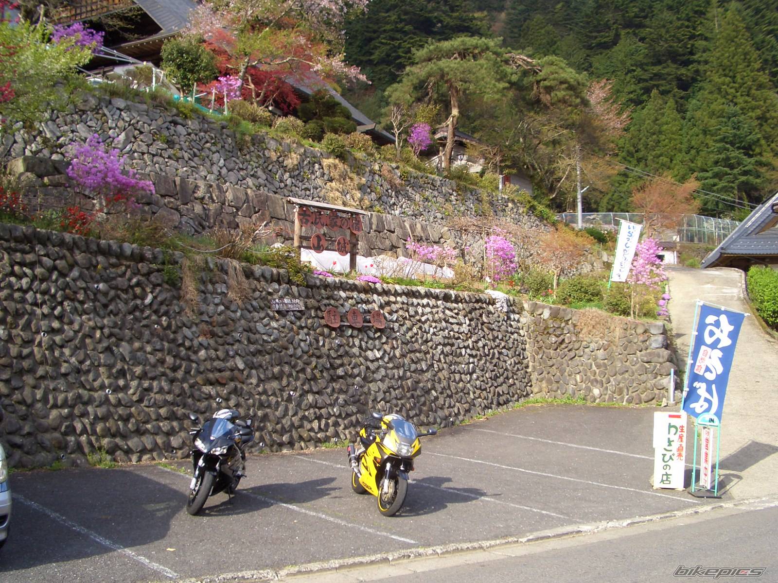 Bike Photo 338890