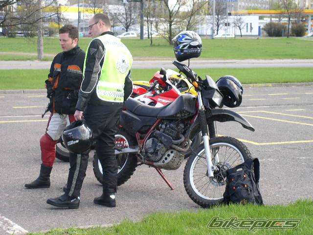 Photo 339069
