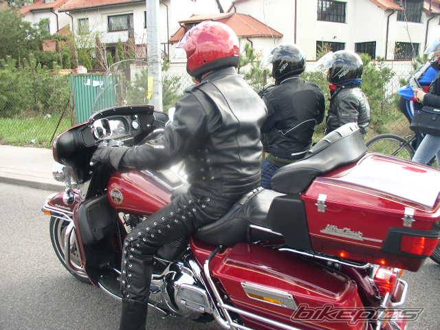 Photo 339075