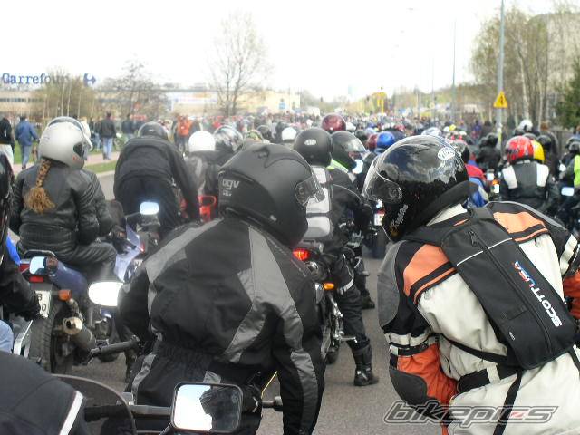 Photo 339079