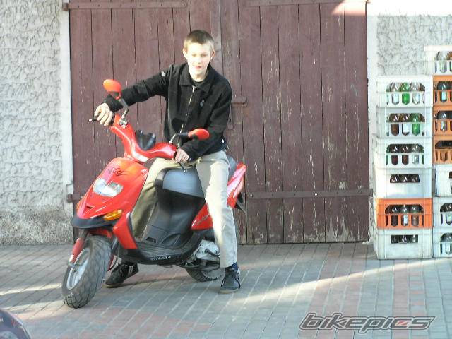 Photo 339295