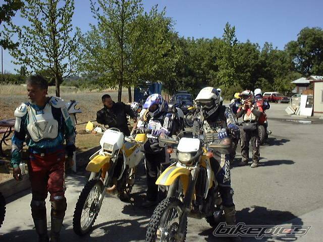 Photo 3393