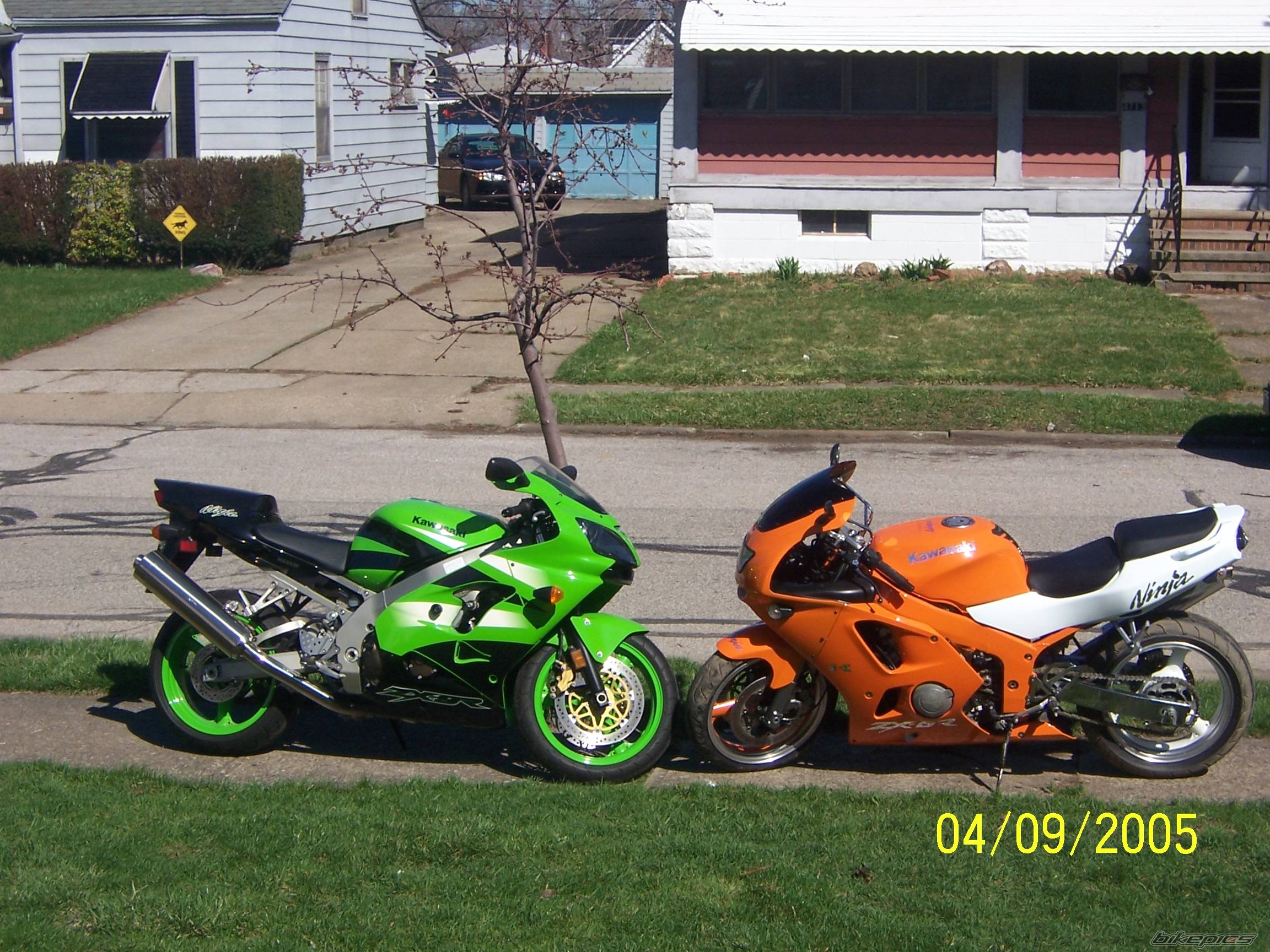 Photo 339369