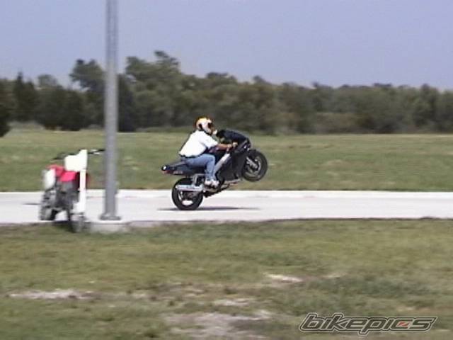 Photo 33937
